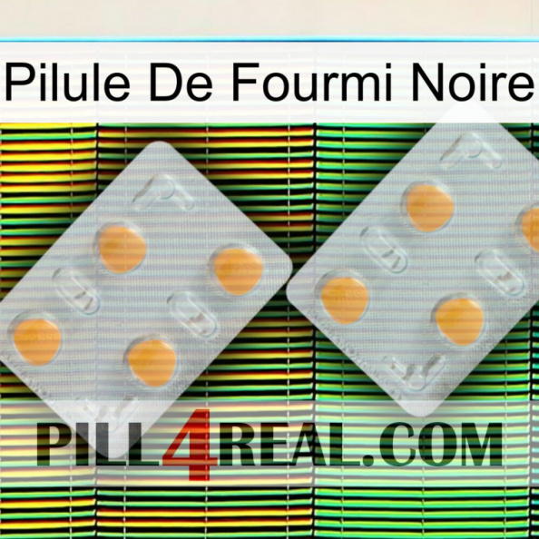 Black Ant Pill 25.jpg